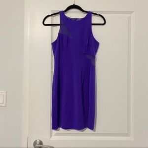 Indigo Purple Mini Dress with Mesh